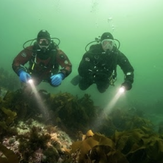 Pinnicle | UKDIVESTORE.CO.UK